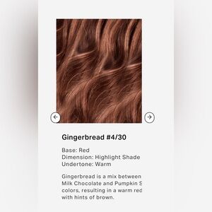 LOCKS & MANE -  Hair Extensions - Gingerbread  (brand new, open box)